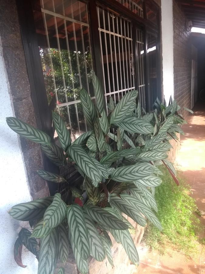 Rock N Hostel Cabo Frio Exterior photo
